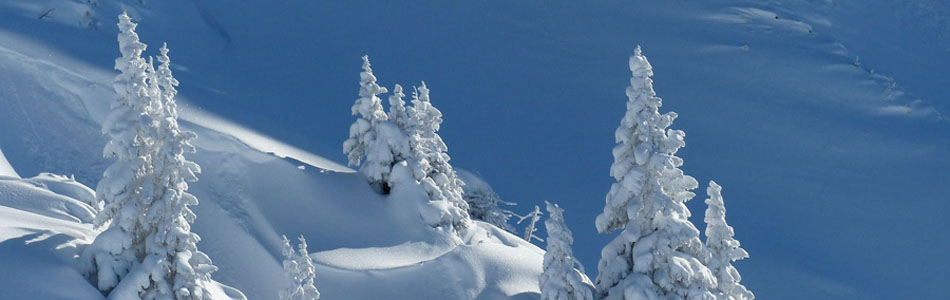 DDOS压力测试网页端