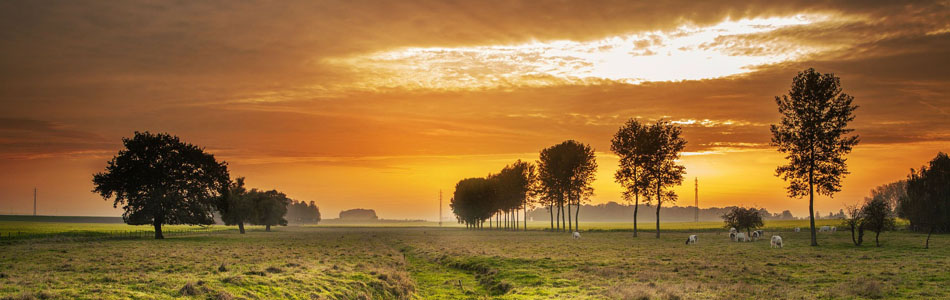 免费ddos压力测试平台